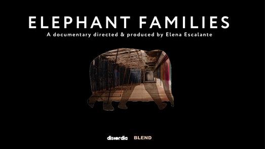 Elephant Families Trailer